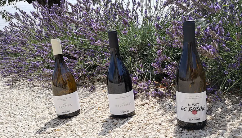 Decouvrez le caveau Domaine Vendome | Crozes Hermitage, Cornas, IGP Collines Rhodaniennes Viognier à Larnage - Drôme