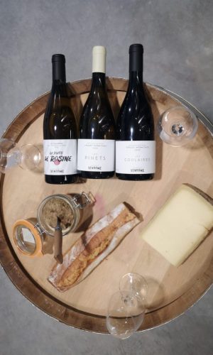 Domaine Vendome | Dégustation Vins Vallée du Rhône à Larnage - Drôme