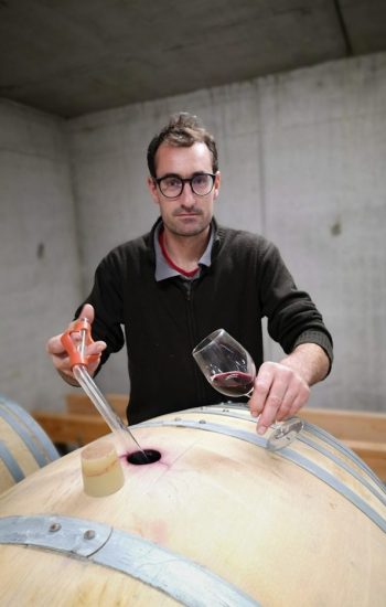 Roudier Domaine Vendome | Technique Vinification Crozes-Hermitage, Cornas, IGP Collines Rhodaniennes à Larnage - Drôme